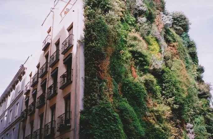 Mga resulta ng larawan para sa Unique organic architecture, Caixa, Madrid"