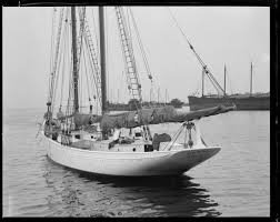 Facebook Boat Schooner Sailing