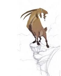 Characterdesign Art Animation Mhd Kheirandish Mhd Kheirandish Art Animationdrawing Illus Character Design Animation Animal Sketches Animal Illustration