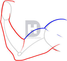How To Draw Muscles Arm How To Images Collection As you can see, the didn't draw fully the division between the bottom of the shoulders and the biceps and triceps. how to draw muscles arm how to