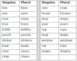 A word used in place of a noun. Course English Class 5 Topic Singular And Plural Noun