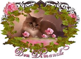 Bon dimanche - Chat - Fleurs - Gif anim� - Scintillant - Gratuit - Le Monde  des Gifs