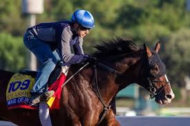 Into Mischief Speightstown War Front Top Bc 19 Sires