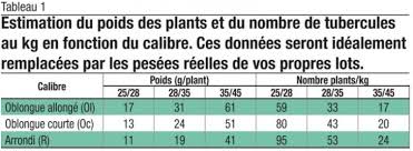 Pommes de terre juliette © o. Plantation Des Pommes De Terre Ne Rien Negliger Avertit Le Carah Sillonbelge Be