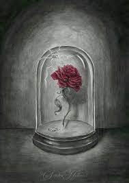 Als sich dann eines tages tatsächlich belle in das schloß verläuft, tut der. Pin Von Anika Frei Auf Weihnachtsbaume Rose Zeichnung Die Schone Und Das Biest Zeichnung Bleistift