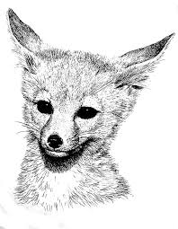 Free printable carnation coloring page and download free carnation coloring page along with coloring pages for other activities and coloring sheets. Cute Animals Coloring Pages Fox Novocom Top
