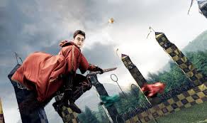 Image result for harry potter quidditch
