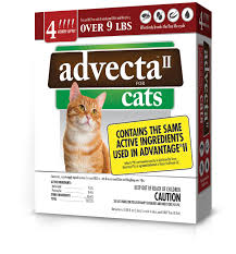 Cat dewormers are available in tablets, chewables and liquids. Cat Flea Tick Spot Treatments Walmart Com