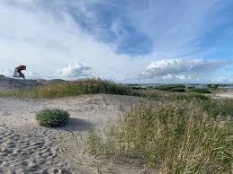 Marker wadden restoration project, run by natuurmonumenten will restore lake marken (markermeer), one of the largest marker wadden. Landal Greenparks En Natuurmonumenten Creeren Unieke Natuurbeleving Natuurmonumenten