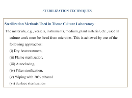 Variants isolated from cultured plant cells are an important tool for furthering our understanding of plant metabolism and development, and they may also increase the impact of tissue cultures in biotechnology. Plant Tissue Culture