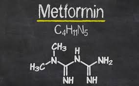 Metformin The Johns Hopkins Patient Guide To Diabetes