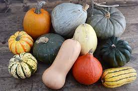 While some varieties are not particularly tasty, and are grown primarily for carving or. Winter Squash Guide Co Op Welcome To The Table