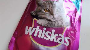 While your cat may regain weight in short order, muscle takes far longer to develop. Types Of Food Which Makes Your Cat Gain Weight Youtube