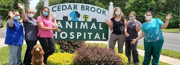 See more of flowers mill veterinary hospital on facebook. Cedar Brook Animal Hospital Sicklerville Veterinarians