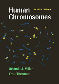 More specifically, both his chromosome 14's are stuck to his chromosome 15's. Pdf Human Chromosomes Fourth Edition Khashayar Shafiee Academia Edu