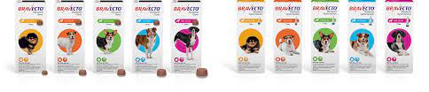 How long does bravecto pill take to work. Frequently Asked Questions Bravectoa Fluralaner