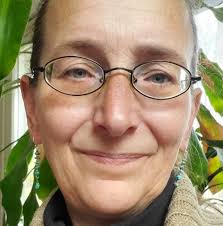 Why does the lock and dam system not extend the whole length of the  Mississippi?