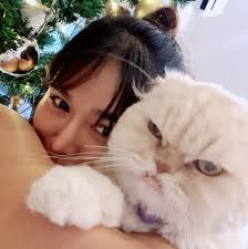 ชีวิตติดโปรฯ