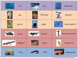 Primary Inspiration Free Animal Classes Reference Chart