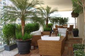 Balkon Sichtschutz Pflanzen Palmen Holz Balkonfliesen Rattan Moebel Sichtschutz Pflanzen Balkon Sichtschutz Terrasse Dekor