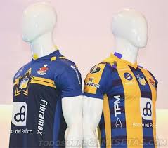 Overview All 32 Teams 2020 Copa Libertadores Kits Nike With One Team Only 16 Different Kit Makers Footy Headlines One Team Team S Teams