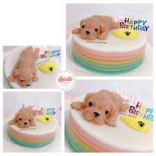 Check spelling or type a new query. Review 2019 Sweetie Jelly Cake Kl Live Life Lah