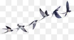 Download now burung terbang gambar unduh gratis grafik 400964225 format gambar. Burung Unduh Gratis Lukisan Cat Air Menggambar Ilustrasi Tangan Berwarna Parrot Burung Splash Gambar Png