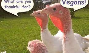 Pin On Vegan Thanksgiving