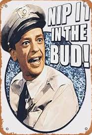 Barney Fife Nip It in the Bud