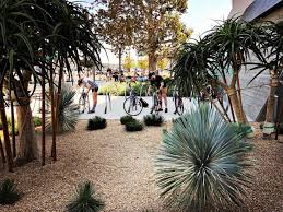 Studio Mla Creates Arrival Experience For Banc Of California Stadium Landscape Design Landscape Architecture California