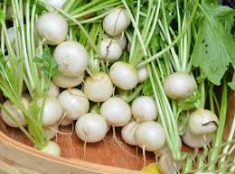 Seker Hastasi Olmak Istemiyorsaniz Bol Bol Yiyin Vegetables Herbalism Healthy