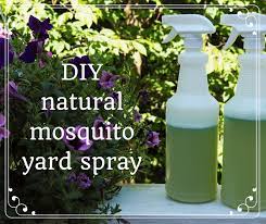 Mosquito repellent homemade mosquito repellent from home mosquito repellent. How To Make Homemade Organic Mosquito Yard Spray Dengarden