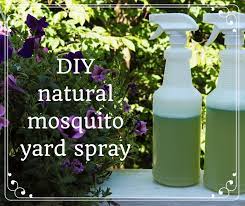 Make your own homemade mosquito repellents and drive mosquitoes away, the natural way. How To Make Homemade Organic Mosquito Yard Spray Dengarden