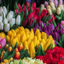 Maybe you would like to learn more about one of these? The Complete Guide To Flower Colours And Meanings Fresh Flowers