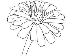 Free Zinnia Flower Coloring Page Flower Drawing Flower Coloring Pages Coloring Pages