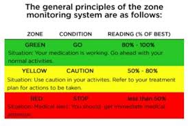 peak flow meter zone chart www bedowntowndaytona com