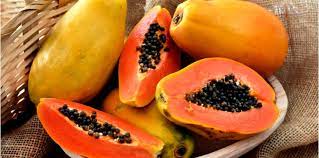 Betik shj berbuah jadi pilih seawal biji benih dan pilih lagi anak semaian. Betik Pelbagai Manfaat Terhadap Kesihatan Yang Patut Anda Tahu