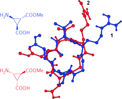 View the profiles of people named silvia yiyang. Die Geruststarre Aminosaure B Acc Verleiht Integrinliganden Aktivitat Und Selektivitat Urman 2007 Angewandte Chemie Wiley Online Library