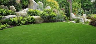 Maybe you would like to learn more about one of these? Spring Landscape Cleanup Services Bergen County Nj Landscaper
