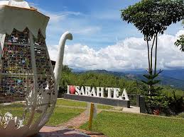 The manager, sabah agricultural park, wdt 28, 89909, tenom, sabah, malaysia. Sabah Tea Jom Lawat Sabah Tea Resort Let S Visit Facebook