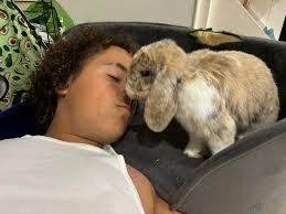 We have had these two beauties for 3 yrs & they've been together for 4.5yrs  we rejoined them from a lady who couldn't have them anymore as she  discovered she was allergic