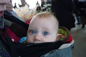 Dresdner Frühling im Palais