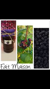 Epingle Par Bec Sur Confiture De Mure Fait Maison Fait Maison Confiture De Mures