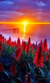 google beautiful sunrise beautiful nature pictures
