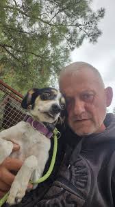 Let's welcome our new members! Welcome to H. A R. P family,please look out  for our unique events, where you can win good money , Dog of the Month and  the Food