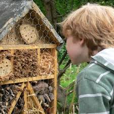 Unsere highlights unter den kinder faschingskostümen. Insektenhotel Selbst Bauen Bauanleitungen Heimwerker De