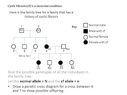 Complicated family tree of several generations on white. Here Is The Family Tree For A Family That Has A History Of Cystic Fibrosis Give The Possible Genotypes Of All The Individuals In The Family Tree Let The Ppt Download