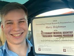 Uncategorized Archives