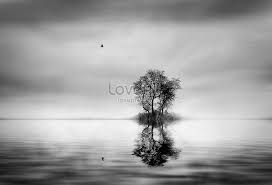 Lovepik صورة Jpg 500326075 Id صورة فوتوغرافية بحث صور انعكاس الطيور والأشجار في الماء