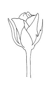 To Create Your Own Rose Bud Drawing Begin By Lightly Sketching The Rose Buds Roses Drawing Flower Drawing